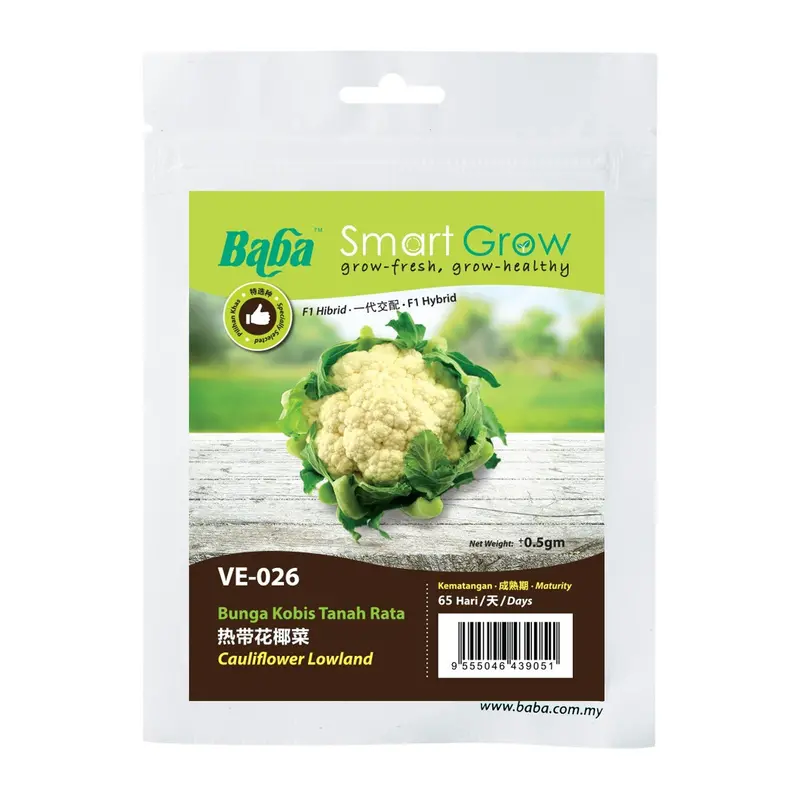 Hybrid Lowland Cauliflower Seeds Ve026 – 0.5G Disease-Resistant Cultivar 1