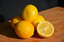 Meyer Lemon Tree (Citrus × Meyeri) 1
