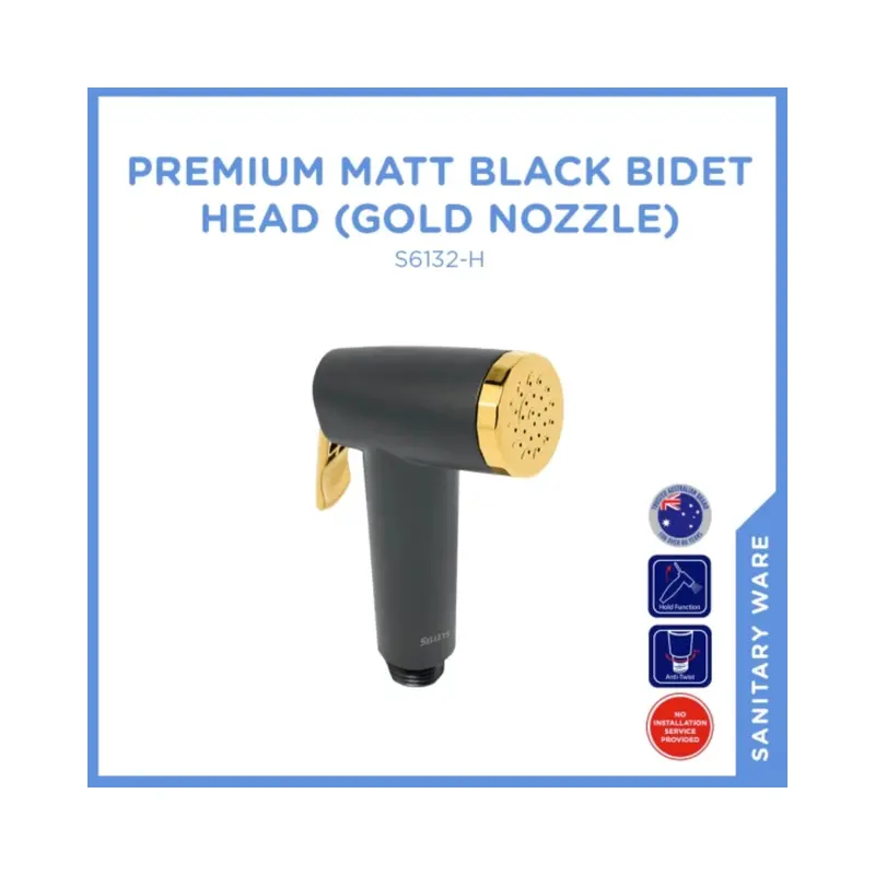 S6132-H Matte Black Standalone Bidet With Gold Nozzle 1